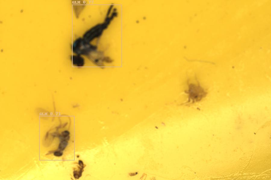 Image 12